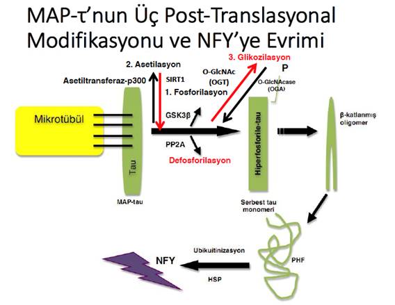 Diagram

Description automatically generated