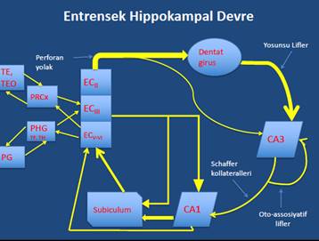 Diagram

Description automatically generated