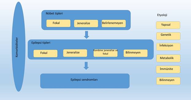 sekil 3