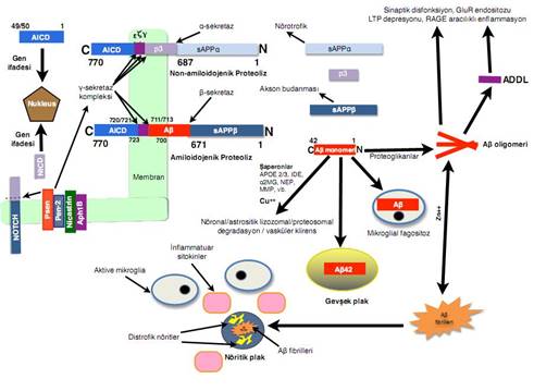 A close up of a map

Description automatically generated