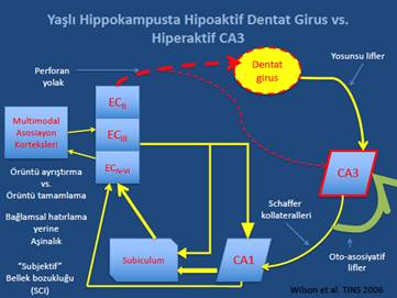 Diagram

Description automatically generated