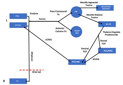 Diagram

Description automatically generated