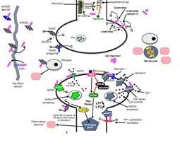 A close up of a map

Description automatically generated
