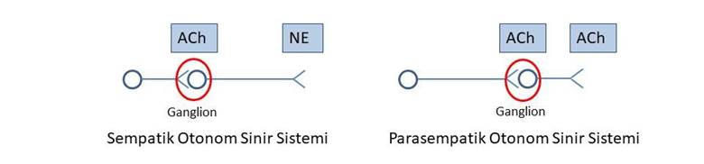 resim 1